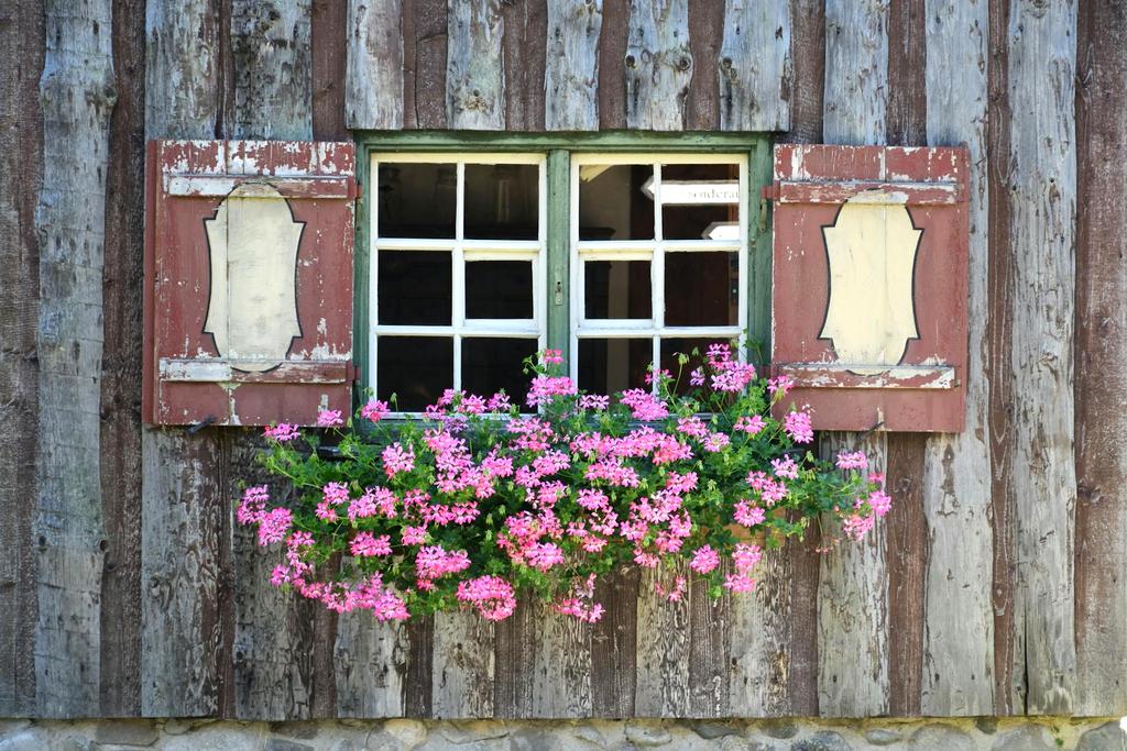 Cottage garden style flower combination