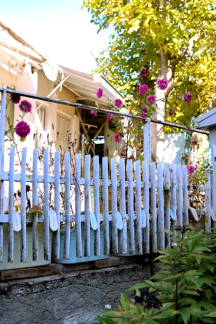 English garden style flower bed