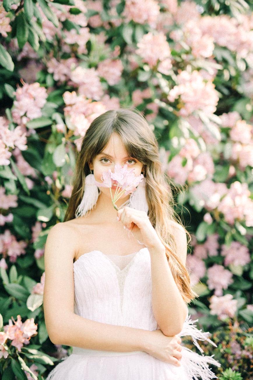 Sophia Petal