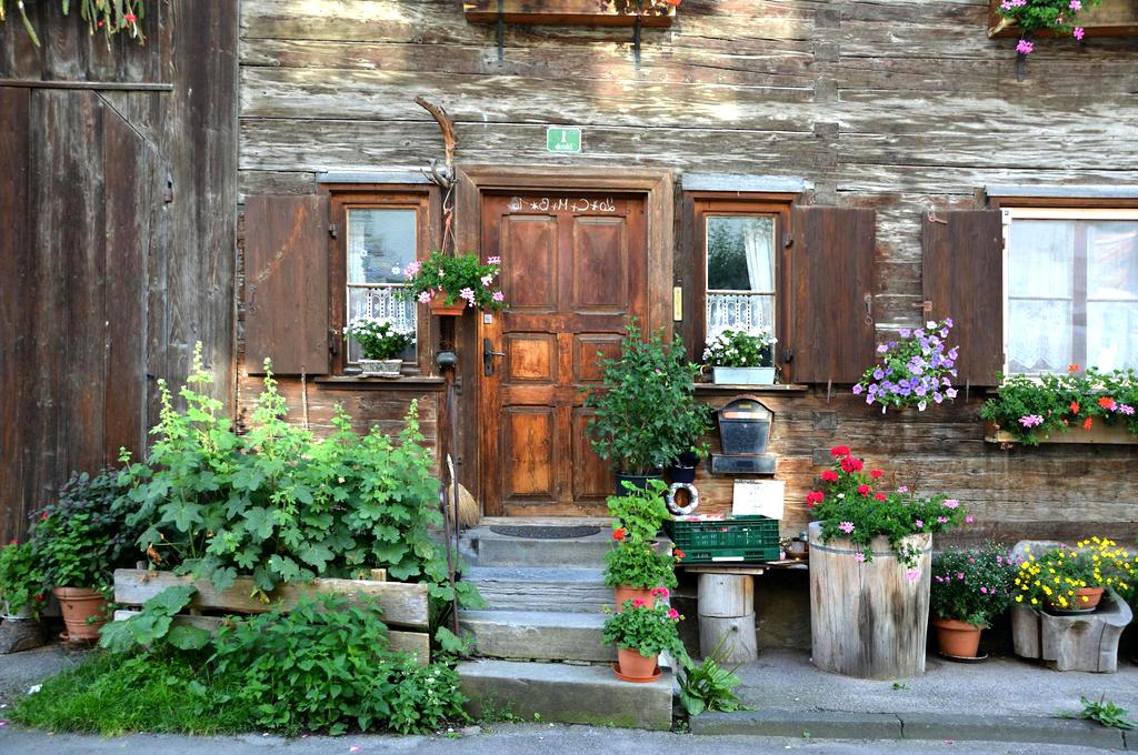 Rock garden with flowers