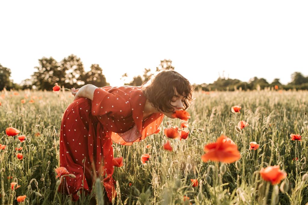 Flowers blooming in different seasons