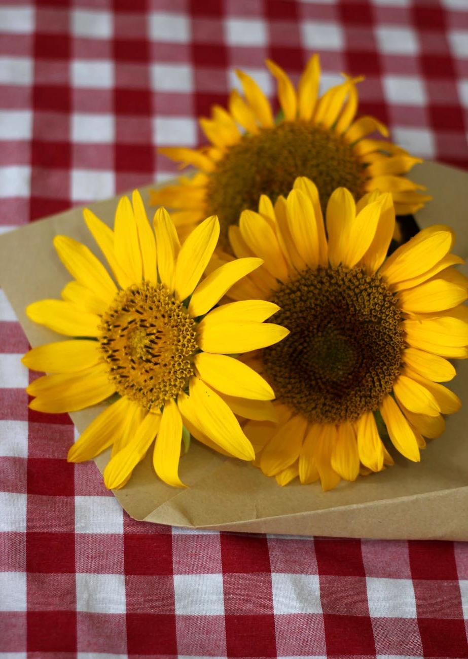 Triadic yellow, blue, and red flower arrangement